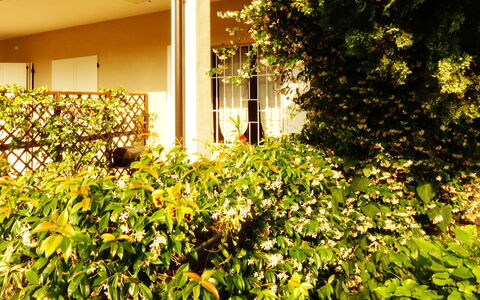 Casa Vacanze Sabrina: Pflanze, Gebäude, Vegetation, Sonnenlicht, Gehölz, Ground, Gras, Tönungen Und Schatten, Strauch, Natürliche Landschaft