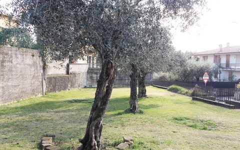 Casa Vacanze Sabrina: Pflanze, Ast, Grundstueck, Baum, Gras, Gebäude, Gehölz, Tönungen Und Schatten, Landschaft, Schatten