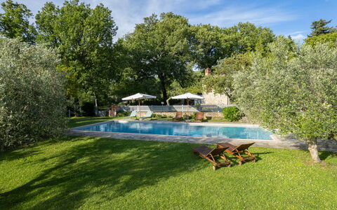 Villa Ida: Pflanze, Himmel, Wasser, Wolke, Schwimmbad, Natürliche Landschaft, Baum, Gartenmöbel, Schatten, Gras