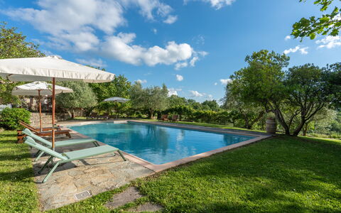 Villa Ida: Wasser, Wolke, Pflanze, Himmel, Schwimmbad, Baum, Gras, Schatten, Gartenmöbel, Natürliche Landschaft