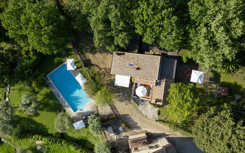 Villa Ida: Pflanze, Eigentum, Gebäude, Baum, Die Architektur, Vegetation, Fenster, Gras, Urban Design, Hütte