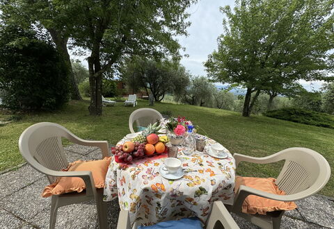 Pinocchio: Tabelle, Pflanze, Möbel, Eigentum, Stuhl, Tisch Im Freien, Geschirr, Baum, Gartenmöbel, Natürliche Landschaft