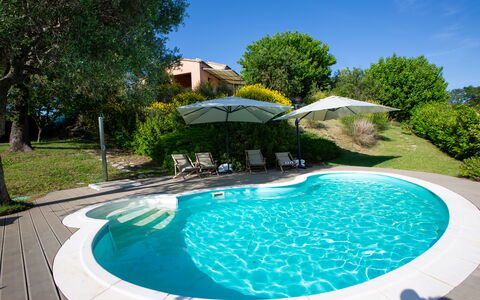 Villa Gelso: Wasser, Pflanze, Eigentum, Himmel, Schwimmbad, Azurblau, Baum, Natur, Gartenmöbel, Gewässer