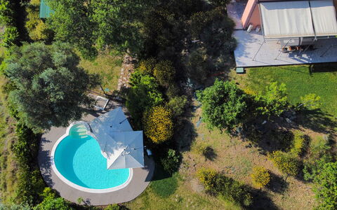 Villa Gelso: Pflanze, Eigentum, Pflanzengemeinschaft, Azurblau, Grundstueck, Biome, Gras, Urban Design, Freizeit, Landschaft