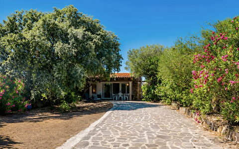 La Casa dei Nonni: Strauch, Garten, Schatten, Flagstone, Landscaping, Garten, Auffahrt, Hazienda, Hinterhof, Bauernhaus