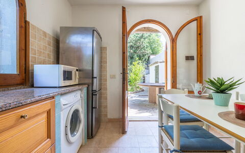 Approdo: Pflanze, Cabinetry, Eigentum, Countertop, Möbel, Zimmerpflanze, Blumentopf, Tabelle, Küchengerät, Holz