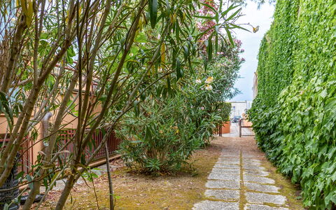 Fano Suite Apartment: Pflanze, Terrestrische Plant, Gras, Natürliche Landschaft, Strassenbelag, Strauch, Baum, Arecales, Himmel, Landschaft