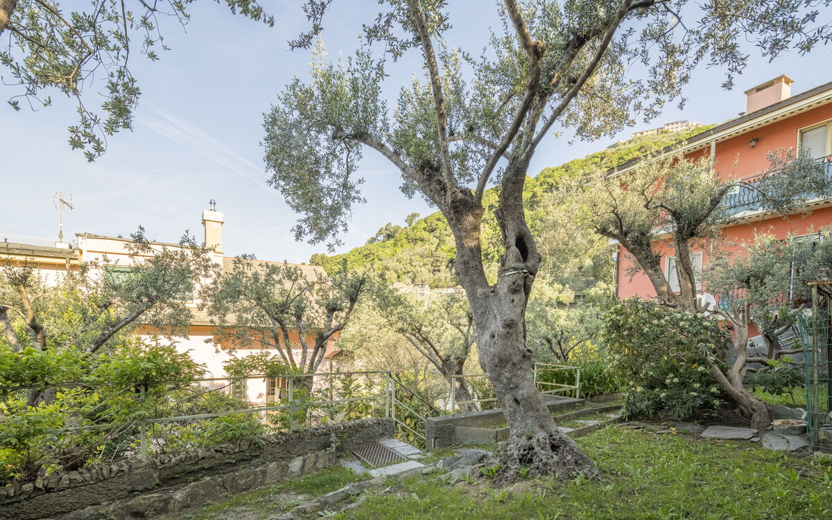 Pieve Ligure Seaside View, Wifi