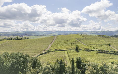 Arpusè, Relax nelle Langhe - Barolo, with Pool: Natürliche Landschaft, Landwirtschaft, Plantage, Feld, Hügel, Hochland, Einfach, Landschaft, Wiese, Ländliches Gebiet