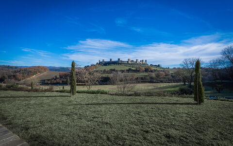 Santa Colomba House, Siena, Nature And Pool: Gras, Wiese, Landschaft, Einfach, Grundstueck, Ländliches Gebiet, Feld, Weide, Wiese, Prärie