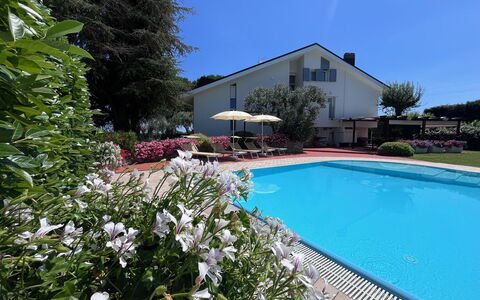 Villapronti: Wasser, Pflanze, Blume, Eigentum, Gebäude, Himmel, Schwimmbad, Baum, Stuhl, Haus