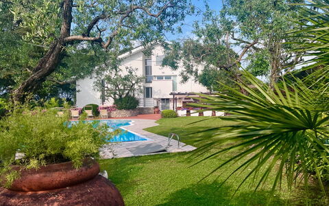 Villapronti: Pflanze, Gebäude, Natürliche Landschaft, Baum, Botanik, Blumentopf, Himmel, Die Architektur, Grundstueck, Vegetation