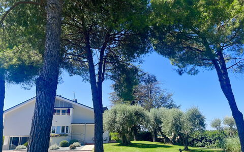 Villapronti: Pflanze, Eigentum, Himmel, Gebäude, Baum, Grün, Blau, Schatten, Natürliche Landschaft, Ast