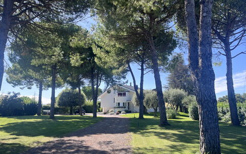 Villapronti: Blatt, Baum, Ast, Kofferraum, Schatten, Rasen, Garten, Gehölz, Landscaping, Park