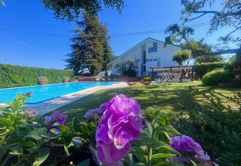 Villapronti: Blume, Pflanze, Himmel, Pflanzengemeinschaft, Botanik, Blatt, Lila, Vegetation, Natürliche Landschaft, Blütenblatt