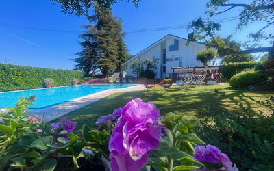 Villapronti: Blume, Pflanze, Himmel, Pflanzengemeinschaft, Botanik, Blatt, Lila, Vegetation, Natürliche Landschaft, Blütenblatt