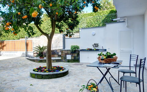 Clementine Country House: Pflanze, Blume, Tabelle, Blumentopf, Zimmerpflanze, Baum, Gebäude