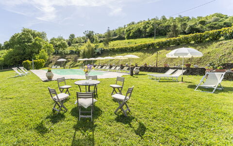 Marcigliana Cottage, Pool, Radicondoli: Gras, Landschaft, Grundstueck, Ground, Garten, Frühling, Wiese, Gartenmöbel, Freizeit, Rasen