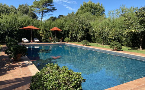 Villa Bongi: Schwimmbad, Resort, Schatten, Garten, Water Feature, Freizeit, Eco Hotel, Gartenmöbel, Hazienda, Landscaping