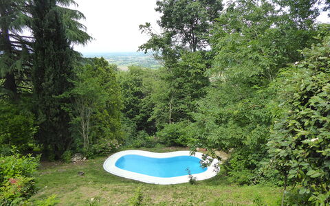 Casa Delle Eriche, Colli Euganei, Pool, Wifi: Garten, Schatten, Rasen, Hinterhof, Landscaping, Schwimmbad, Garten, Wald, Park, Immergrün