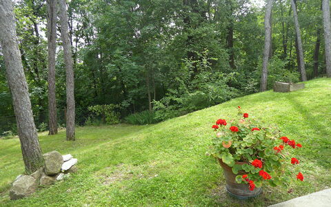 Casa Delle Eriche, Colli Euganei, Pool, Wifi: Gras, Strauch, Garten, Rasen, Ground, Frühling, Landscaping, Wiese