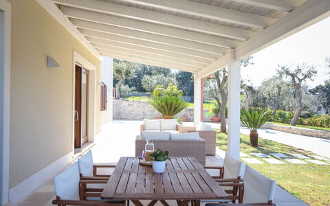 Villa Don Sante In Locorotondo Puglia: Pflanze, Tabelle, Möbel, Eigentum, Interior Design, Schatten, Stuhl, Gebäude, Zimmerpflanze, Baum