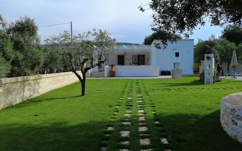 Villa Adriatica Near Ostuni Puglia: Himmel, Pflanze, Eigentum, Baum, Wolke, Grundstueck, Gras, Strauch, Graspflanze, Landschaft