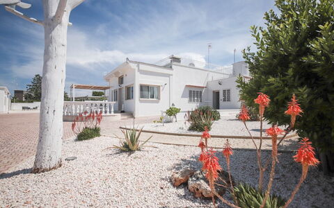 Villa Azzurra Seaview In Monopoli, Puglia: Wolke, Pflanze, Himmel, Eigentum, Gebäude, Fenster, Baum, Haus, Grundstueck, Arecales