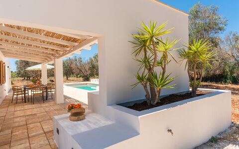 Villa Jolie: Schatten, Landscaping, Garten, Eco Hotel, Estate, Design, Hazienda, Villa, Resort