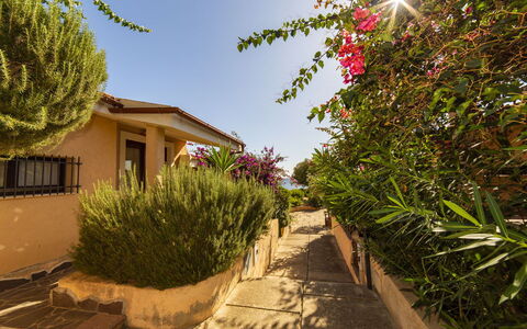 Bilocale Apartments Seaside: Strauch, Zuhause, Garten, Landscaping, Schatten, Auffahrt, Garten, Hazienda, Walkway, Hinterhof