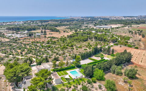Masseria Ceratonia: Baum, Vogelperspektive, Wohngebiet, Landschaft, Luftaufnahmen, Grundstueck, Urban Design, Vorort, Estate, Plantage