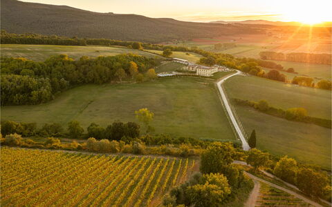 La Capanna, Borgo Campassini, Monteriggioni: Landschaft, Natürliche Landschaft, Einfach, Hochland, Wiese, Ökoregion, Grundstueck, Plantage, Ländliches Gebiet, Feld