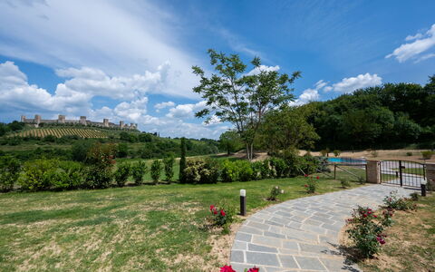 Le Torri, Borgo Campassini, Monteriggioni: Gras, Natur, Landschaft, Wiese, Strauch, Grundstueck, Einfach, Garten, Frühling, Plantage