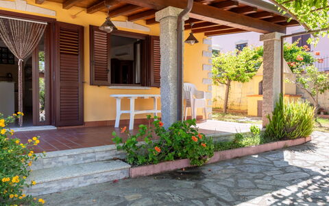 Remo: Holz, Tür, Blumentopf, Schatten, Holzbeize, Zimmerpflanze, Garten, Veranda, Terrasse, Outdoor Struktur