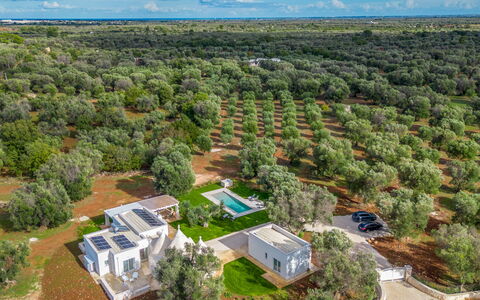 Trullo Brenda: Baum, Vogelperspektive, Landschaft, Luftaufnahmen, Einfach, Grundstueck, Estate, Plantage, Landscaping, Park