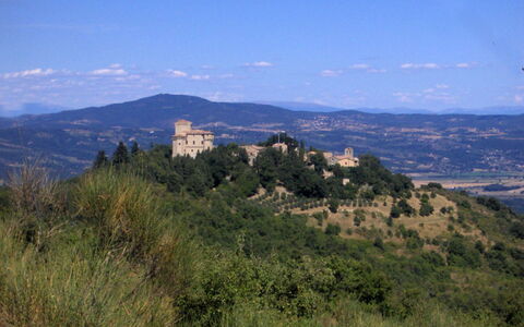 Borgo di Fighine: Baum, Natur, Vegetation, Hügel, Landschaft, Hochland, Wiese, Pflanzengemeinschaft, Ländliches Gebiet, Bergstation