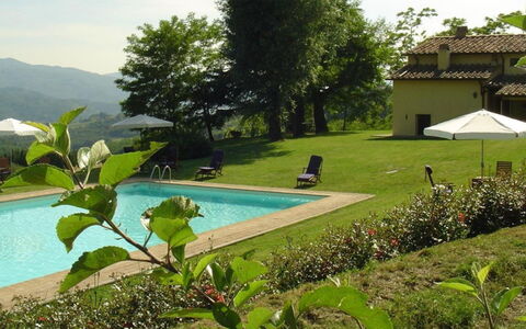 Magnolia e Camelia: Bauernhaus, Eco Hotel, Gartenmöbel, Schwimmbad, Garten, Villa, Hazienda, Hinterhof