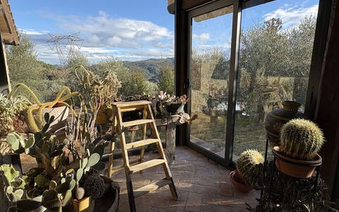 Poggio Aperto: Blumentopf, Garten, Landscaping, Zimmerpflanze, Hinterhof, Outdoor Struktur