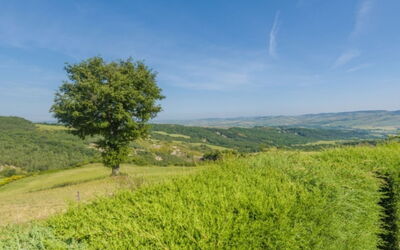 Podere del Mezzadro