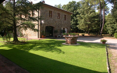 Villa Antonella: Strauch, Garten, Rasen, Hazienda, Garten, Schatten, Landscaping, Hinterhof, Estate, Auffahrt