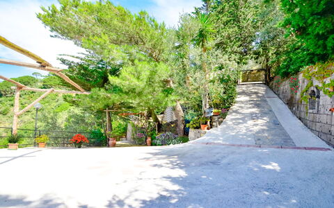 Villa Campanella: Baum, Blatt, Ast, Vegetation, Gehölz, Walkway, Schatten, Treppe, Landscaping, Auffahrt