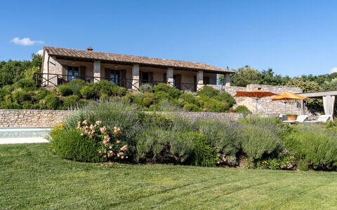Villa Collinette: Strauch, Garten, Grundstueck, Pflanzengemeinschaft, Zuhause, Ground, Bauernhaus, Landscaping, Estate