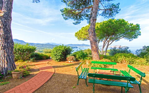 Villa Magazzini: Blau, Strauch, Landschaft, Garten, Frühling, Landscaping, Botanischer Garten, Schatten, Park, Walkway