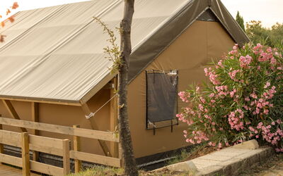 Unterkunft:&nbsp;Glampingtent Zeus 500.20