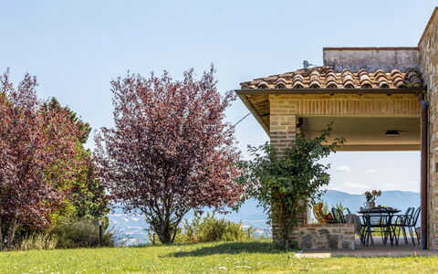 Poggio Padule: Natürliche Landschaft, Strauch, Hügel, Grundstueck, Wiese, Garten, Senke, Landscaping, Grat