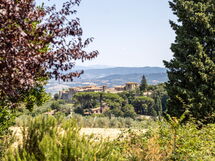 Poggio Padule