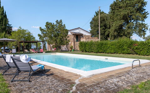 Il Pino Apartment: Schwimmbad, Gartenmöbel, Estate, Hinterhof, Garten, Hazienda, Schatten, Bauernhaus, Villa, Garten