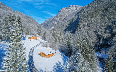 Baita Piciola: Baum, Bergforms, Berg, Haus, Hütte, Zuhause, Gebirge, Wald, Bergstation