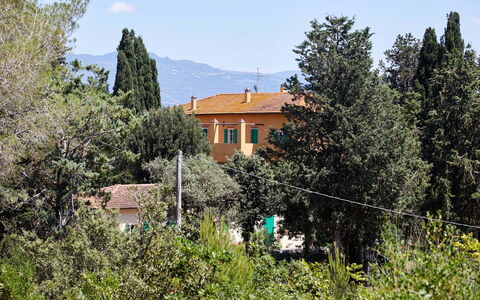 Poggio Cavallino Private Pool, Wifi, Maremma: Baum, Blatt, Strauch, Zuhause, Lärche, Immergrün, Pine Familie