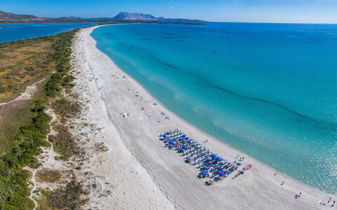 San Teodoro Apartments: Blau, Strand, Küste, Meer, Küsten Und Ozeanische Forms, Ufer, Ozean, Touristenattraktion, Bucht, Karibik